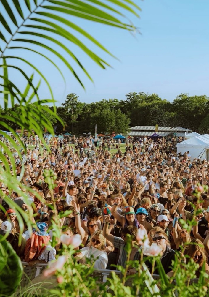Daytime festival crowd with hands up seen through palm leaves